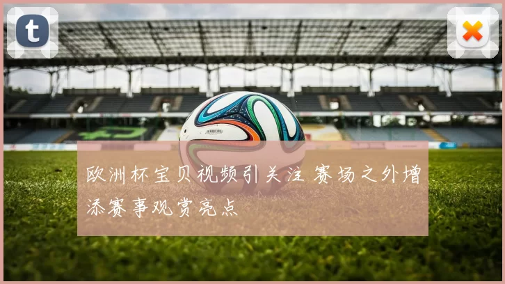 欧洲杯宝贝视频引关注 赛场之外增添赛事观赏亮点