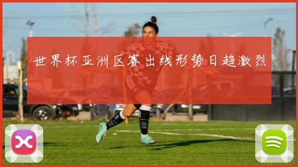 世界杯亚洲区赛出线形势日趋激烈