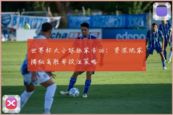 世界杯大小球独家专访：资深玩家揭秘高胜率投注策略