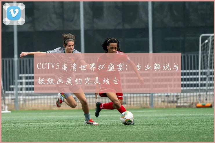 CCTV5高清世界杯盛宴：专业解说与极致画质的完美结合