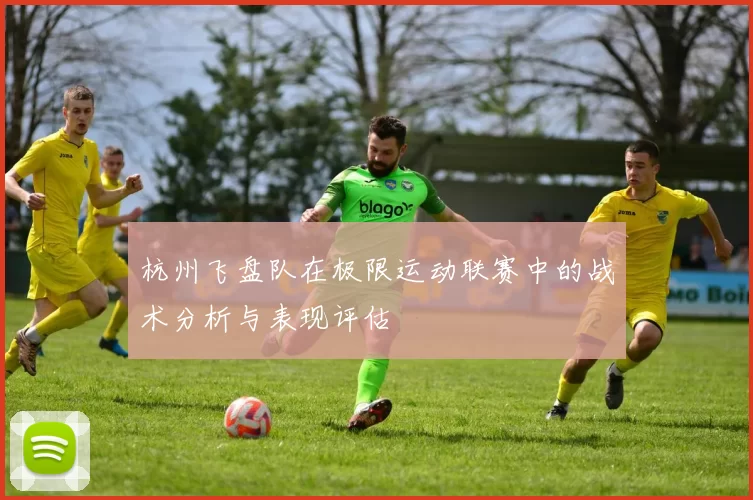 杭州飞盘队在极限运动联赛中的战术分析与表现评估