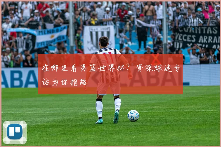 在哪里看男篮世界杯?资深球迷专访为你指路